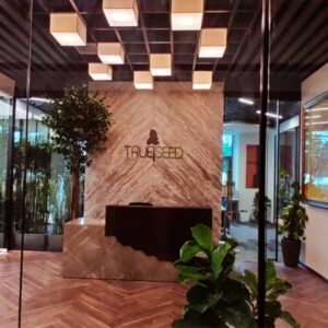 TrueSeed | Best Office Interior Designing & Leasing in Gurgaon